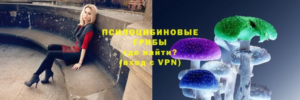 твердый Магас