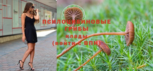 метадон Беломорск